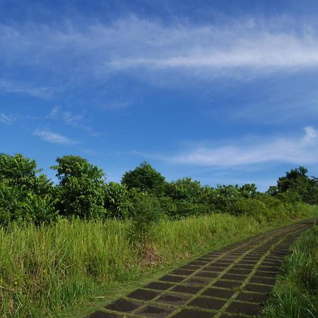 Sari Villa Ubud Ngoại thất bức ảnh