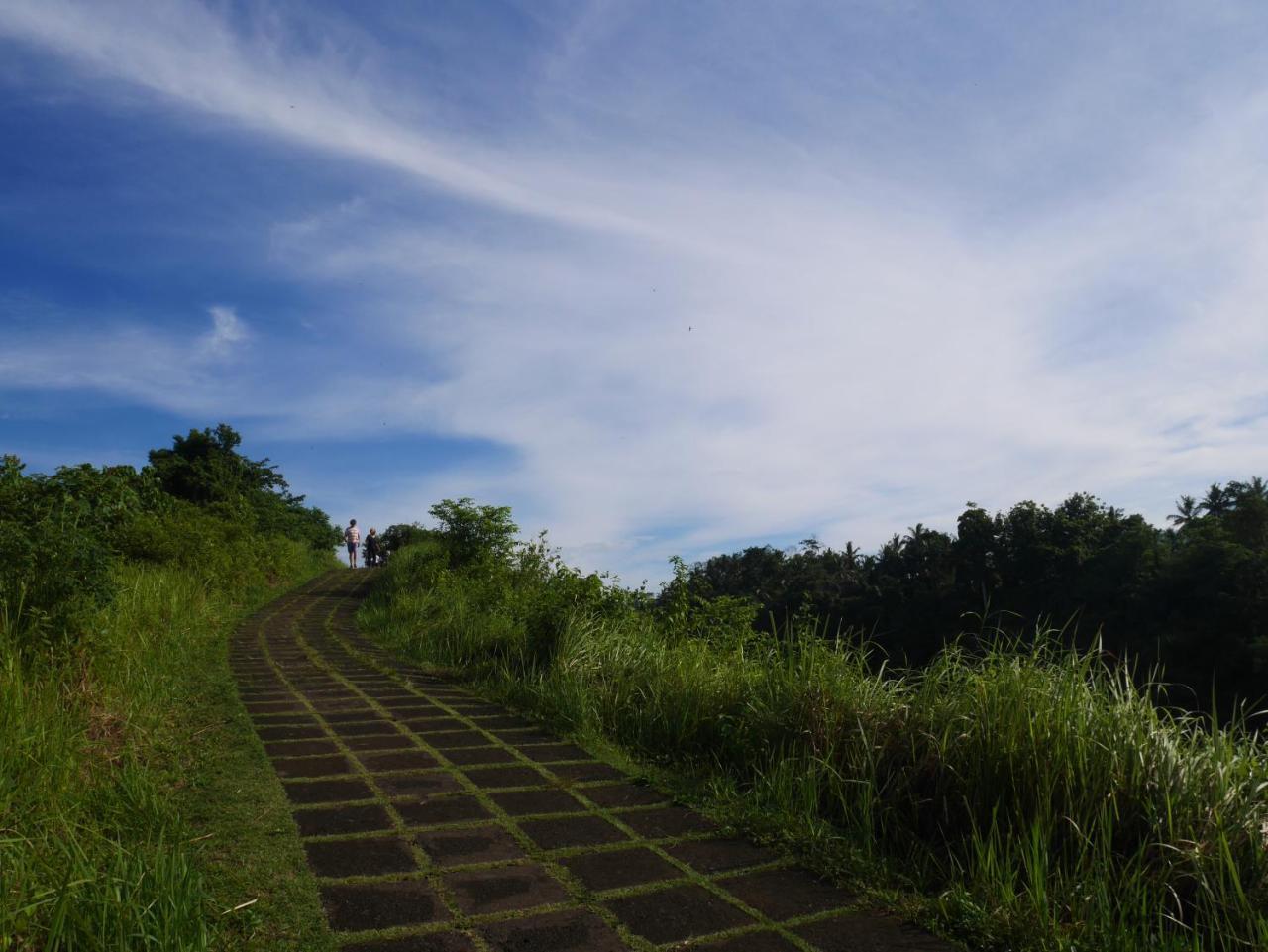 Sari Villa Ubud Ngoại thất bức ảnh