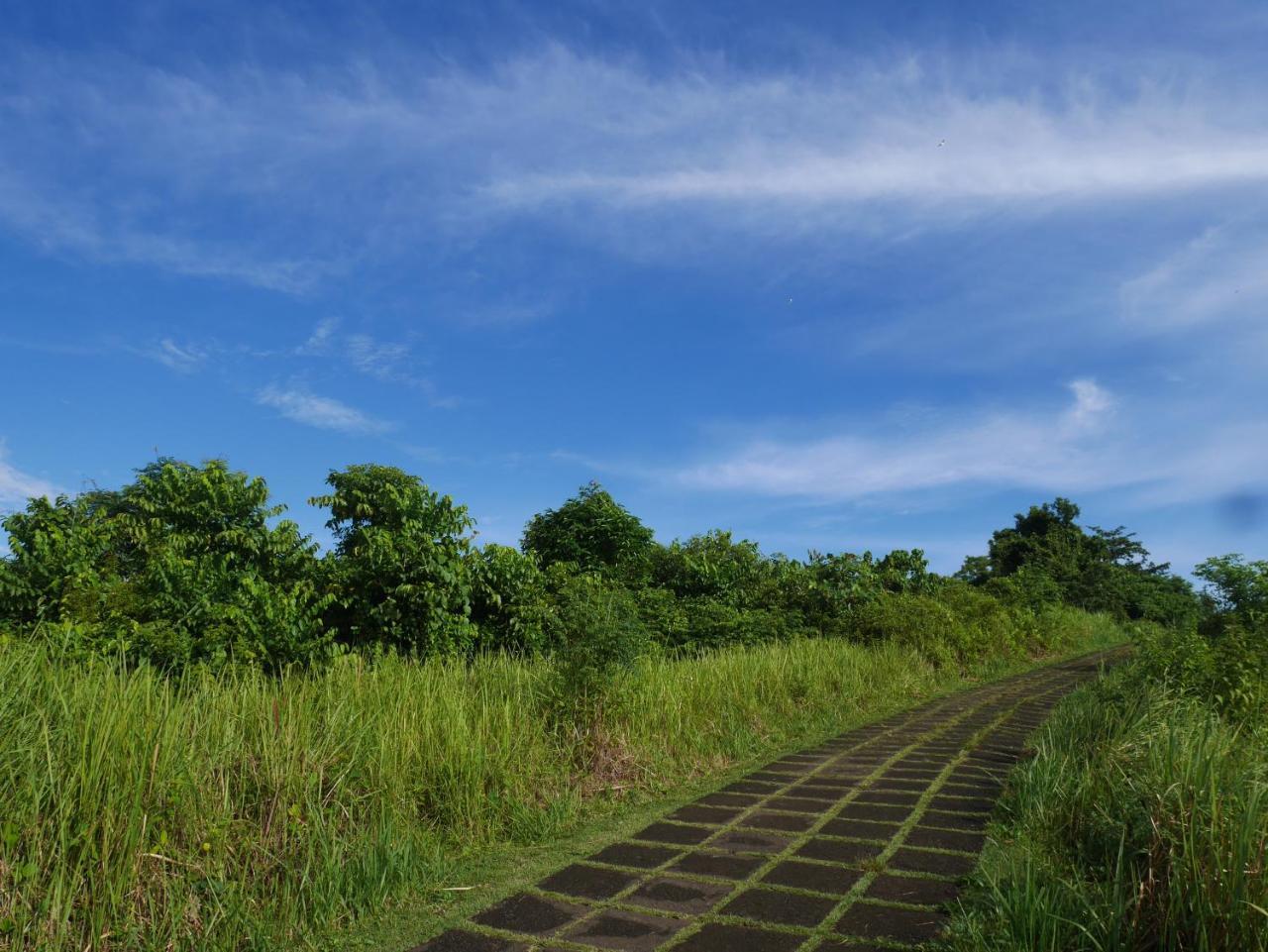 Sari Villa Ubud Ngoại thất bức ảnh